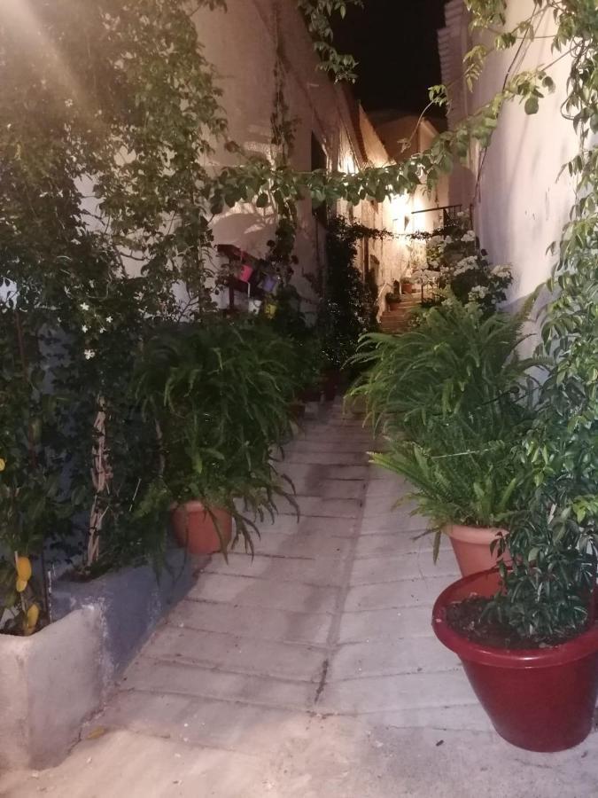 Casa Amat Villa Rubite  Dış mekan fotoğraf